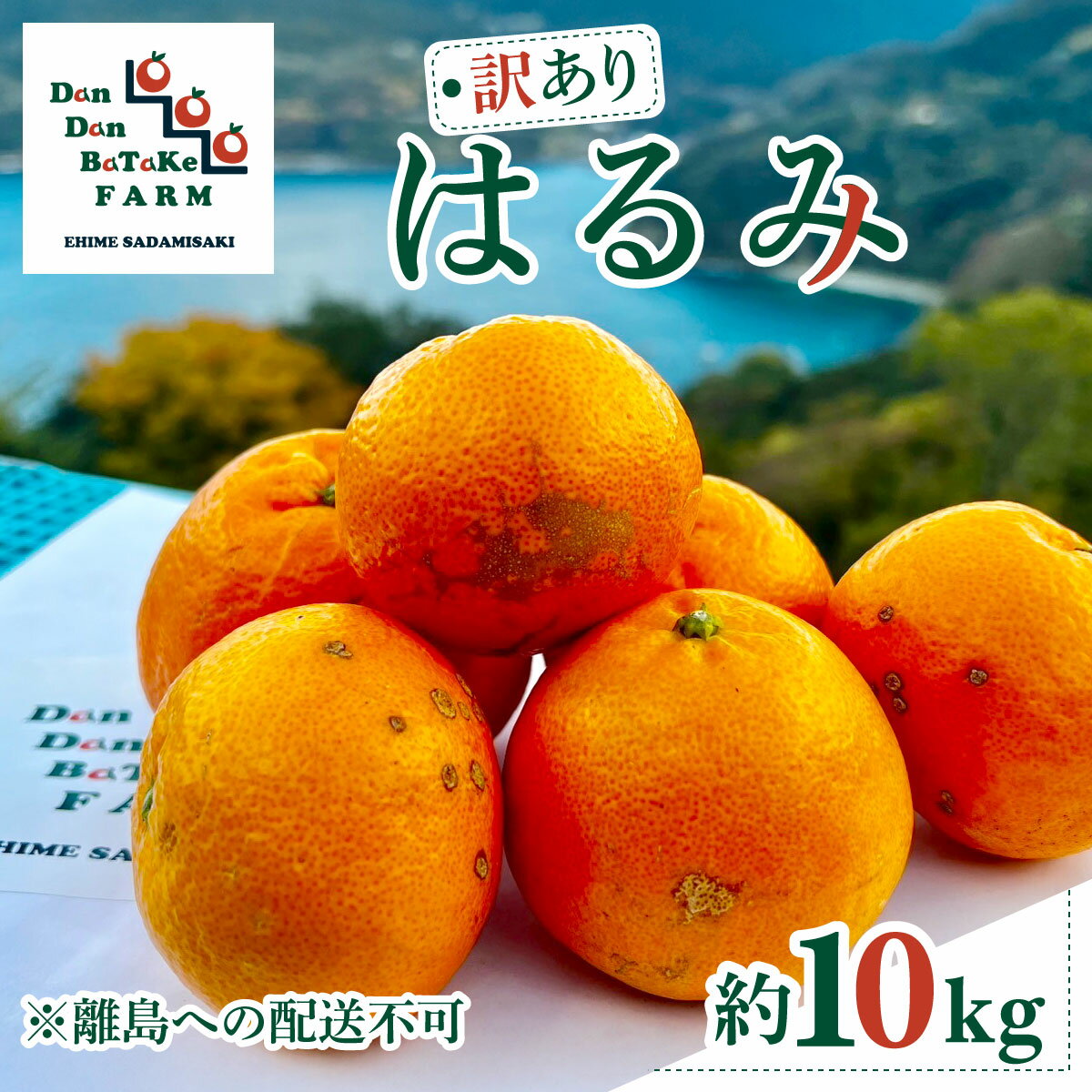 【ふるさと納税】【先行予約】【訳あり】はるみ 約10kg ※離島への配送不可　※2026年1月下旬より順次発送予定【ふるさと納税 人気 おすすめ ランキング 柑橘 みかん ミカン フルーツ 果物 オレンジ はるみ DanDan BaTaKe FARM 愛媛県産 家庭用 伊方町 送料無料】 IKTAU005