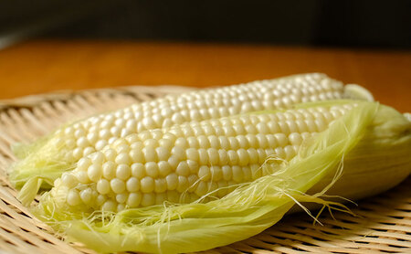 濃い甘さの白いとうもろこし（ホワイトコーン）　13本　個包装 とうもろこし トウモロコシ コーン 白いとうもろこし ホワイトコーン 朝どり 甘い 旬 兵庫県 洲本市 淡路島