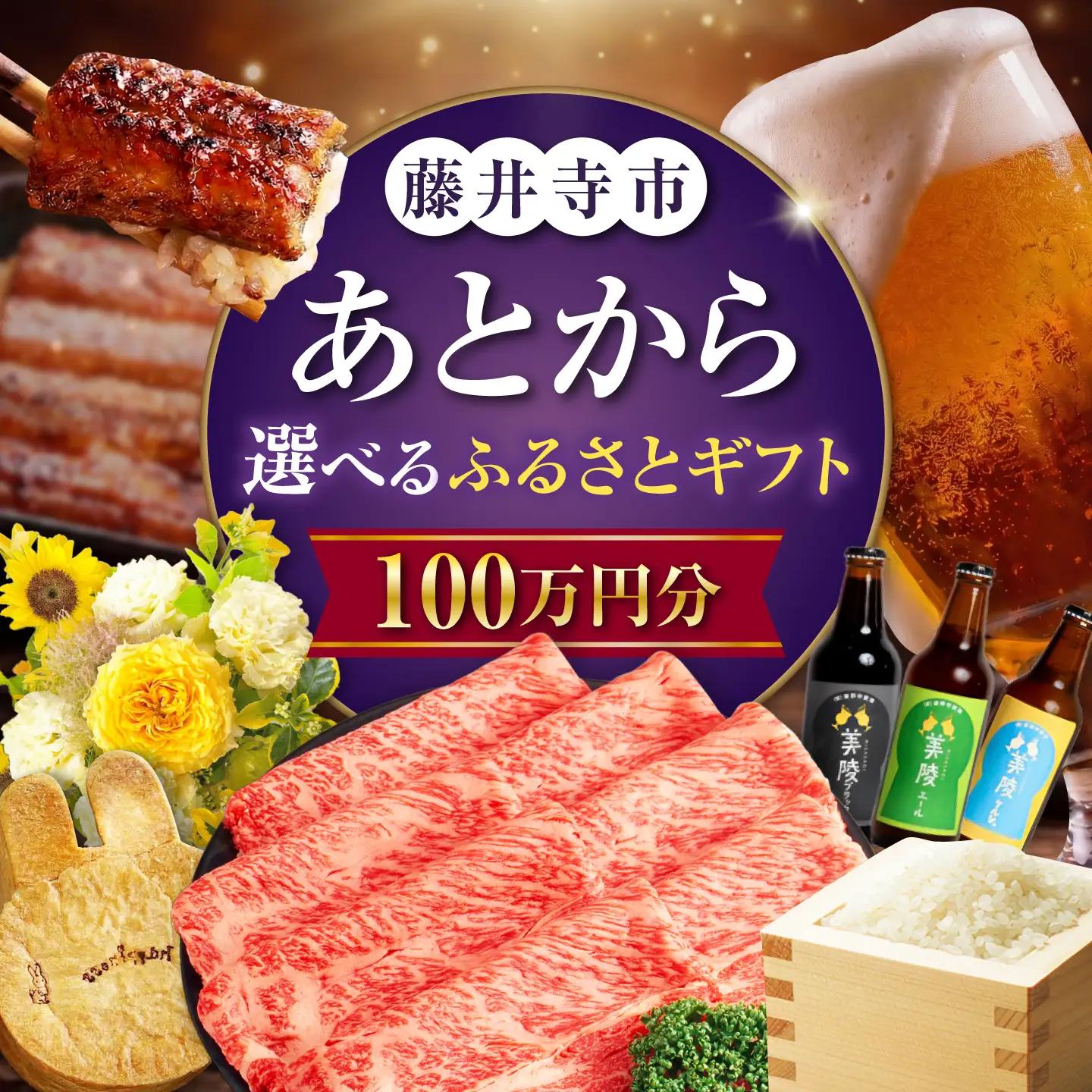 【あとから選べる】藤井寺市ふるさとギフト 100万円分 BLZZ011