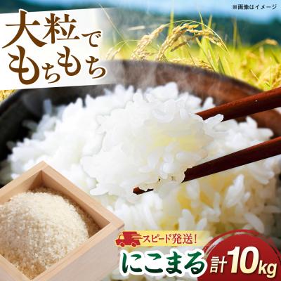 ふるさと納税 糸島市 【スピード発送】令和7年産 にこまる 玄米品質1等米 白米 10kg 糸島市産[AGR002]
