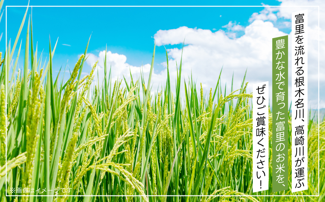 【令和6年産新米】富里市産コシヒカリ ５kg TMF004 / こしひかり コシヒカリ 米 こめ コメ 白米 単一米 精米 うるち精米 5kg もっちり 柔らか うまみ 旨味 うま味 日本食 鮮度自慢