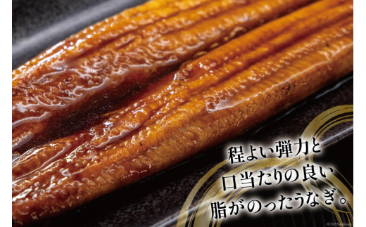 うなぎ 国産 蒲焼 160g程度×2尾 計320g以上 タレ山椒付き 真空パック 個包装 [駿河淡水 静岡県 吉田町 22424146] 静岡県産 静岡 鰻 ウナギ 蒲焼き 化粧箱