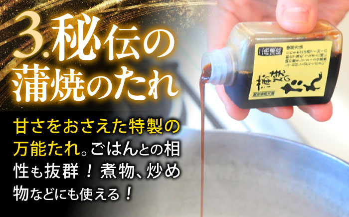 うなぎ蒲焼2尾＆白焼き2尾 うなぎ ウナギ 鰻 蒲焼き 蒲焼 かばやき 白焼き 白焼 しらやき 食べ比べ 冷凍