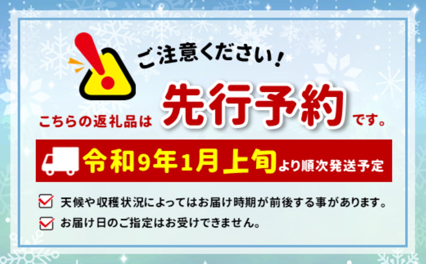 市田柿 贈答用 化粧箱入り 個包装 大粒 10粒 約280g ＜2027年1月上旬～順次発送＞ ＪＡみなみ信州ＤＭセンター | 柿 かき 干し柿 干しがき 市田柿 信州 国産 特産品 ドライフルーツ 甘い 果物 フルーツ くだもの 送料無料 ふるさと納税 長野県 飯田市
