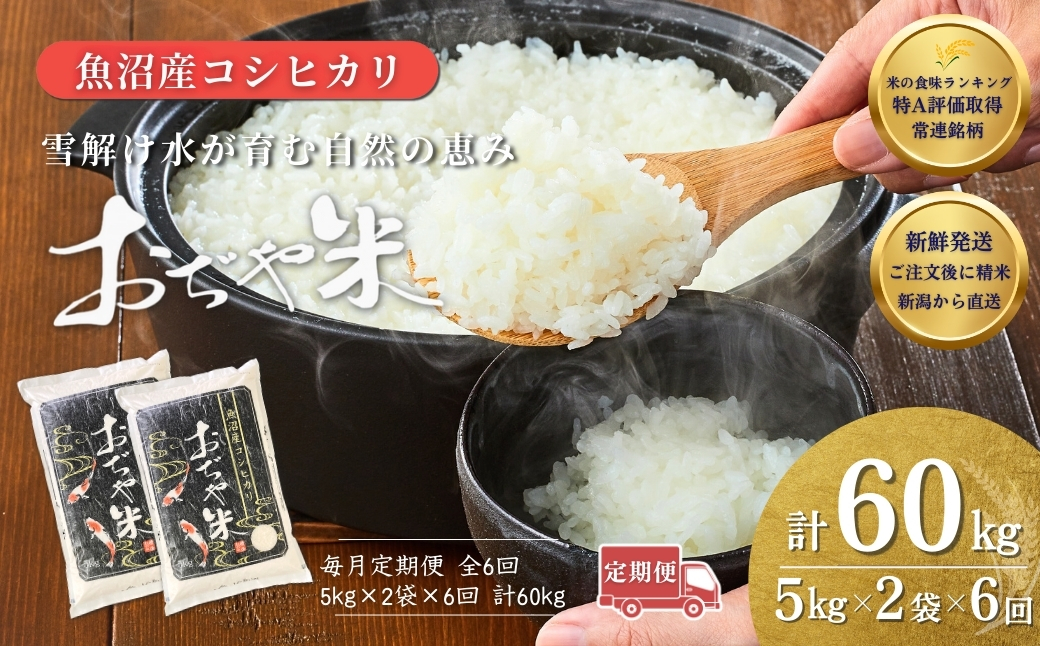 令和7年産 魚沼産コシヒカリ定期便5kg×2袋×6回（毎月お届け）JA魚沼 白米 魚沼 米 定期便