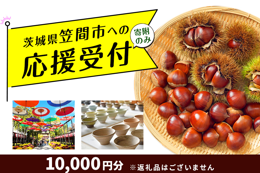 【返礼品なし】茨城県笠間市応援寄附 10,000円