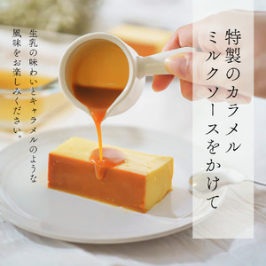 【定期便】濃厚プリン　New Pudding（ニュープディング）（500g×1本）×5ヶ月【be152-0931-100-5】 （ ぷりん プリン 濃厚 乳製品 スイーツ 北海道 別海町 人気 ふるさ