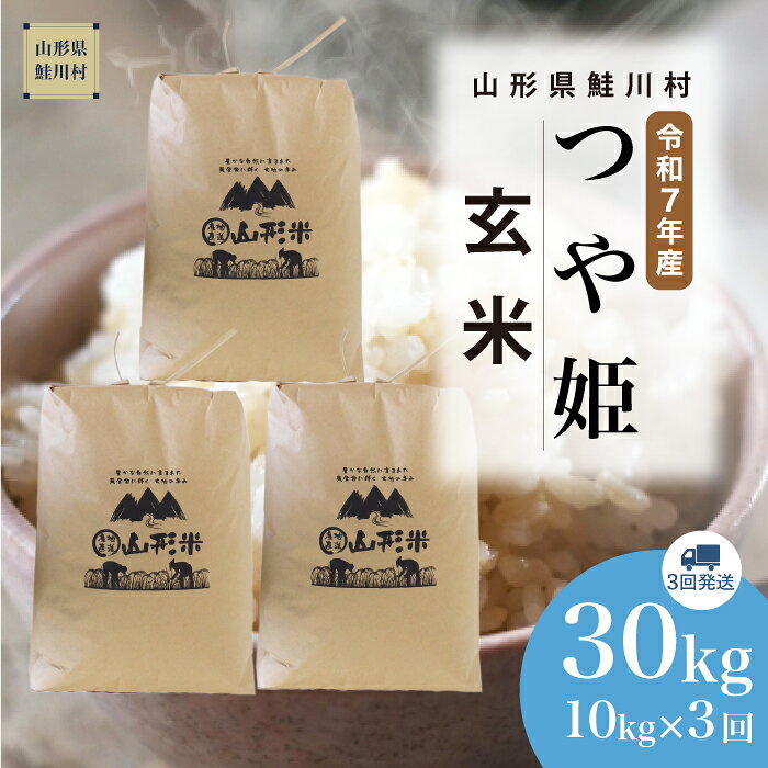 【ふるさと納税】＜令和7年産米＞ 鮭川村 特別栽培米 つや姫 【玄米】 30kg定期便 （10kg×3回発送）＜配送時期選べます＞