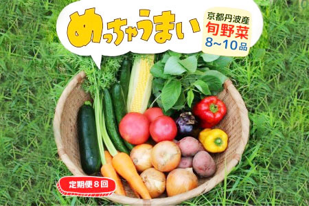 野菜 8回定期便 369商店 京都丹波産旬の野菜セット 野菜セット 野菜詰め合わせ 旬野菜 新鮮野菜