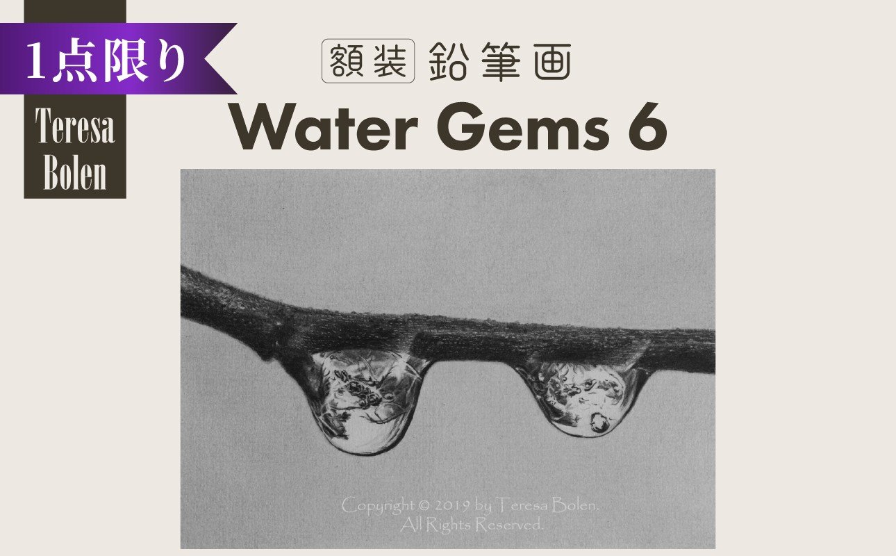 
            鉛筆画 Water Gems 6 ふるさと納税 鉛筆画 手描き 世界に一つ Water Gems アメリカン・アート・アワード国際公募展 マスターピース賞 プレゼント インテリア アート 美術 木津川市 【104-03】
          