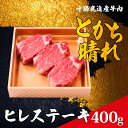 【ふるさと納税】十勝鹿追産牛肉「とかち晴れ」ヒレステーキ 400g 【ふるさと納税 人気 おすすめ ランキング 牛肉 肉 牛 ビーフ ヒレ ステーキ肉 牛ステーキ肉 牛ヒレ 牛フィレ 北海道 鹿追町 送料無料】 SKY005