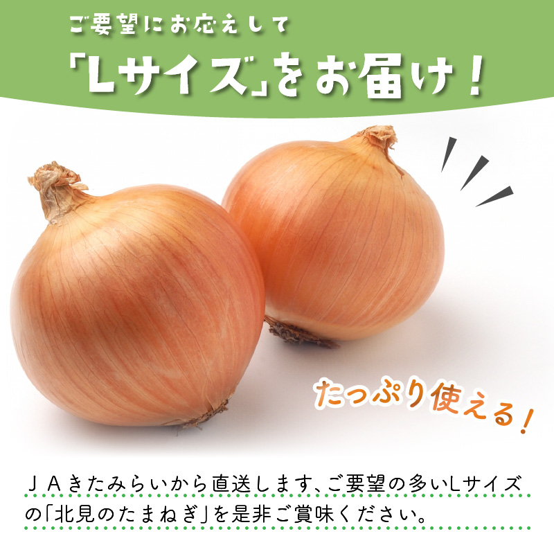 ☆L玉隔月定期便(11月・1月)☆JAきたみらいから直送する新鮮玉ねぎ 10kg(L)×2回 ( 野菜 定期便 玉葱 たまねぎ 期間限定 )【999-0118-2024】