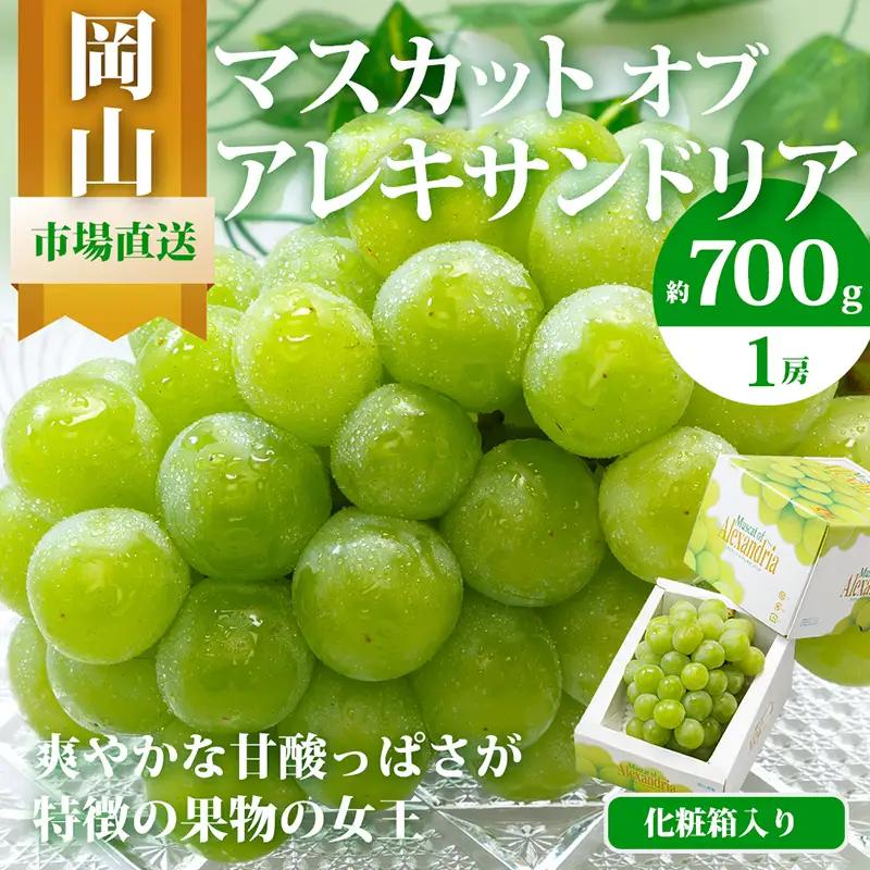 マスカット オブ・アレキサンドリア 化粧箱入り 岡山県産 マスカット【1房 700g以上】【先行予約】