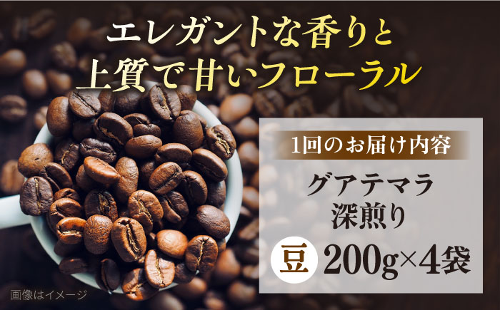 【全12回定期便】コーヒー豆 自家焙煎 深煎り グアテマラ 200g×4 TSUKIKOYA COFFEE ROASTER ツキコヤ【株式会社RUINS】 [AKAD012]