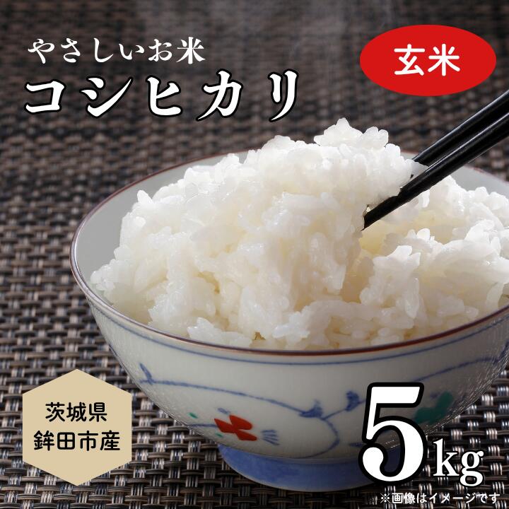 【ふるさと納税】やさしいお米　こしひかり5kg（玄米）