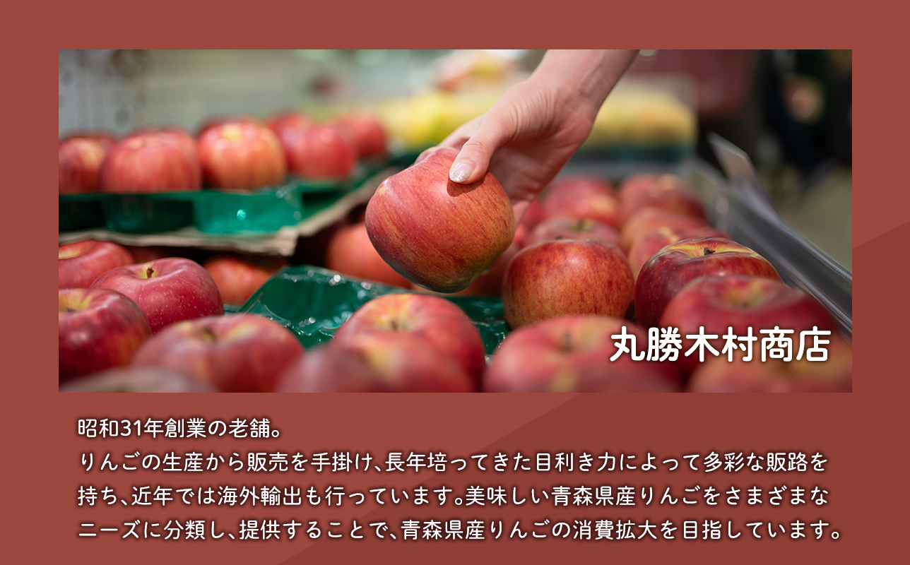【5月～6月発送】家庭用有袋ふじ10kg【丸勝木村商店・青森りんご】