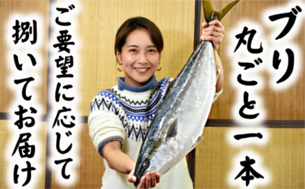 
            【日時指定可能】【お届け2026年1月20日以降】ブリ丸ごと一本！捌いてお届け！[0050-0049]
          