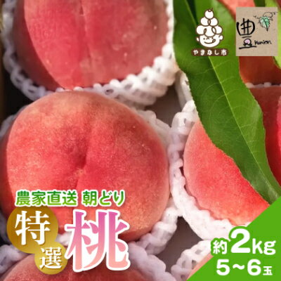 【ふるさと納税】【2026発送予定】農家直送朝どり桃!大きくて甘い特選桃5～6玉入り山梨市産地直送約2kg箱【配送不可地域：離島】【1178161】