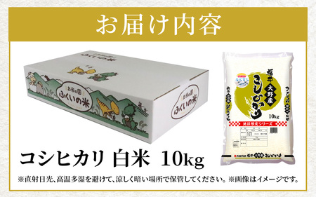 【令和6年産 新米】大野産コシヒカリ（白米）10kg【大野ブランド米 名水育ち】[B-097002]