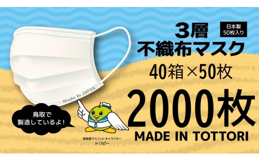 【72001】鳥取県岩美町産 不織布マスク 50枚入り×40箱（2000枚）