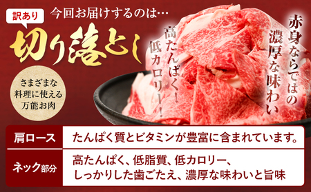 熊本県産あか牛 切り落とし 1000g あか牛 牛肉 切り落とし 切落し ギフト 贈り物 贈答用 熊本 阿蘇 送料無料 【配送不可地域：離島】《60日以内に出荷予定(土日祝除く)》