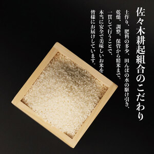 令和6年産 特別栽培米 コシヒカリ 10kg 2kg×5袋 米 白米 ご飯 料理 おにぎり 弁当 新潟県 新潟産 新発田産 コシヒカリ 佐々木耕起組合 2kg 特別栽培米 新潟県 新発田市 新米 非常