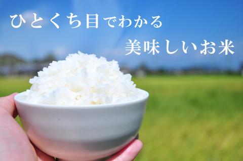 ぎおん米コシヒカリ 30kg [先行予約] 株式会社TKS 滋賀県 東近江市 G-G02 米 白米 こしひかり 30キロ お取り寄せ 産地直送