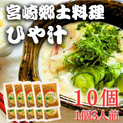 ふるさと納税 国富町 宮崎郷土料理　冷や汁　10個セット