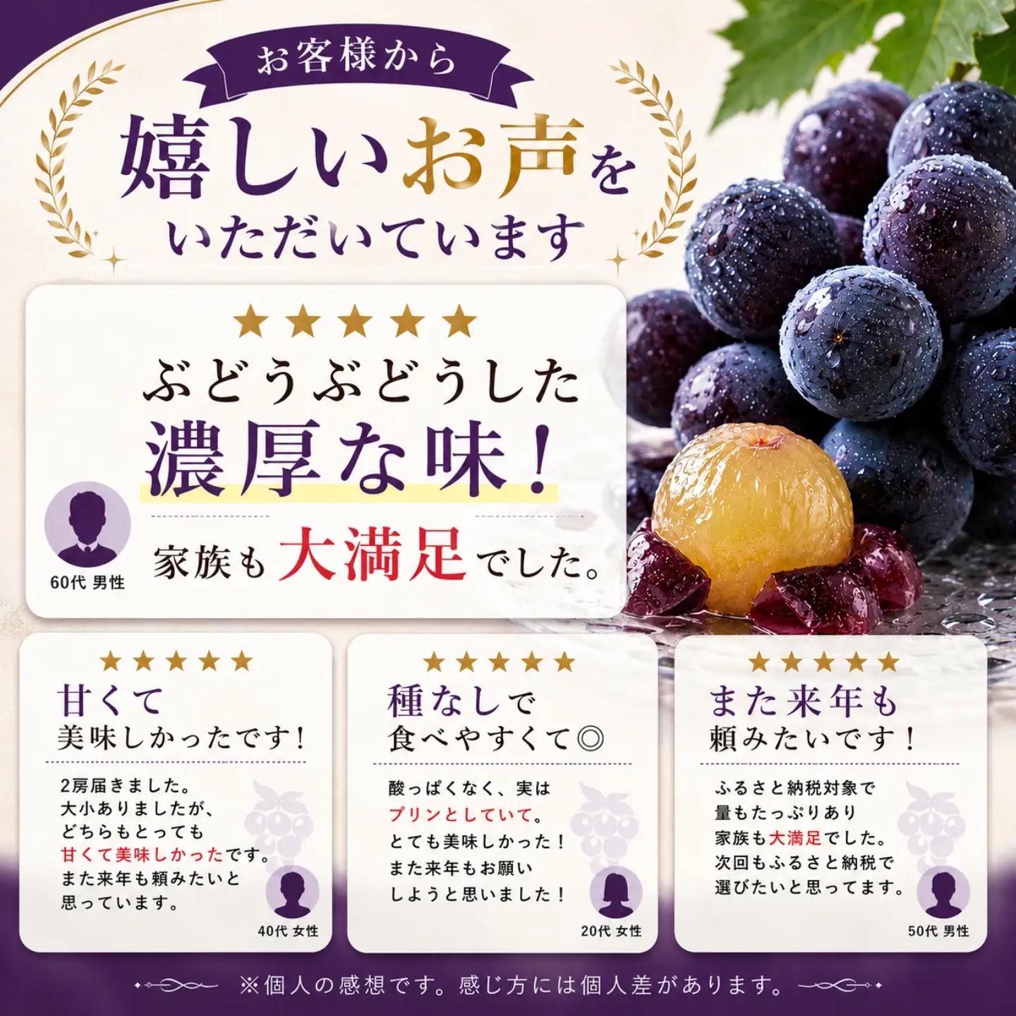 【2027年先行予約】ピオーネ 約1.3kg （粒）