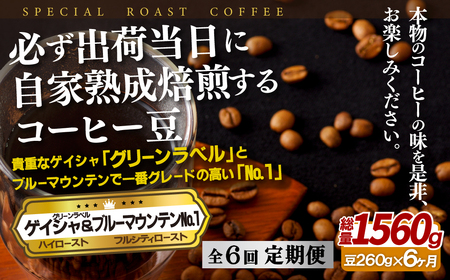 必ず出荷日に自家熟成焙煎ゲイシャ豆(160g)･ブルーマウンテン№.1豆(100g)【6回定期便】