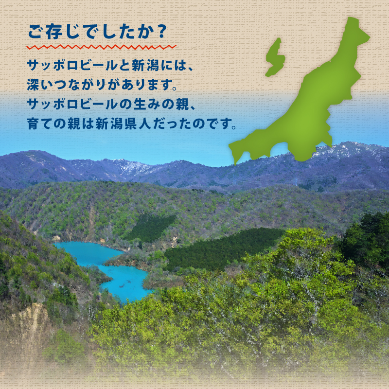 【定期便 2か月】 父の日 サッポロビール 風味爽快ニシテ 350ml × 24本 定期便 ビール 新潟 限定 ビイル サッポロ ご当地 取り寄せ 酒 お酒 さけ sake アルコール ギフト プレゼ