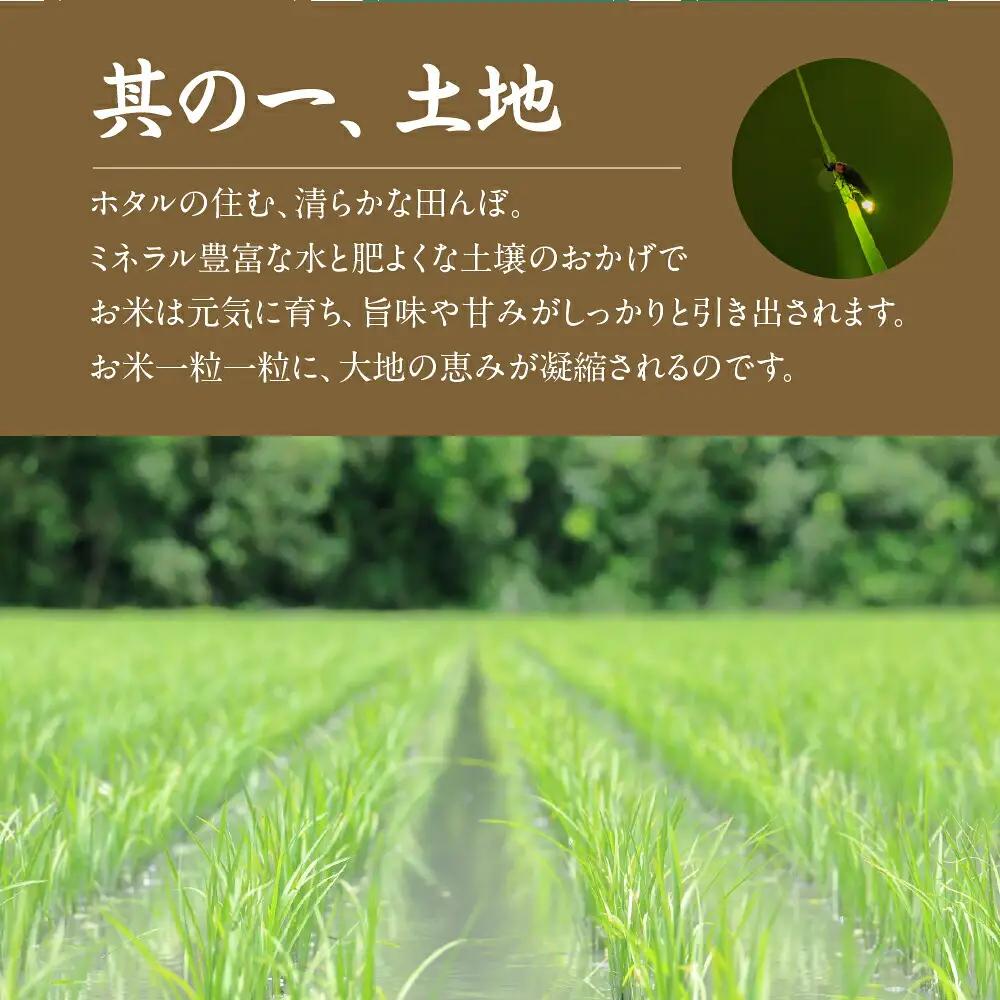 令和7年産 ミルキークイーン 10kg 定期便 3回 白米 ブランド米 ミルキー ﾐﾙｷｰｸｲｰﾝ お米 こめ 米 ※ コメ ご飯 生活必需品 日用品 定期 定期配送 人気 美味しい 取り寄せ 10キ