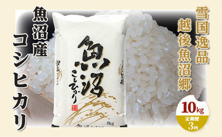 【定期便：雪国逸品 精米10kg×3ヶ月】越後魚沼郷 魚沼産コシヒカリ お米 人 自然調和 ミネラル 奇跡 自然環境 努カ 香り つや 粘り 極上 
