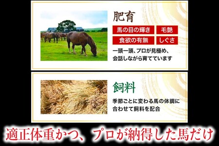 〈令和6年10月出荷〉肥後の桜馬刺し 上赤身 200g 馬肉 馬 国産 国内肥育 希少 肉刺し 真空パック 専用醤油付き 本場 老舗専門店 ギフト 贈答用 熊本 阿蘇 南小国町 送料無料 高レビュー 