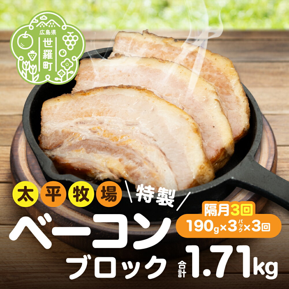 【ふるさと納税】【定期便3回】特製ベーコン ブロック(190g×3パック)《隔月 合計3回発送》 無着色 国産 ベーコン ブロック 数量限定 A035‐09