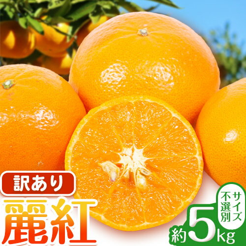 【ふるさと納税】訳あり 麗紅 5kg みかん サイズ不選別 どの坂果樹園《2026年1月末-2月末頃出荷予定》 和歌山県 日高町 旬 果物 フルーツ 柑橘 蜜柑 送料無料