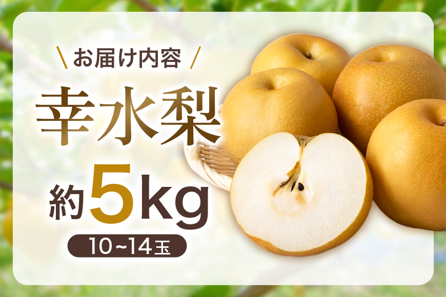 【ふるさと納税】【先行予約】幸水梨 幸水 5kg 10玉～14玉 梨 なし ナシ 完熟 福岡県産 うきは市 大容量 フルーツ 果物 くだもの 甘い ジューシー 旬 秋の味覚 お中元 ギフト 贈り物 家