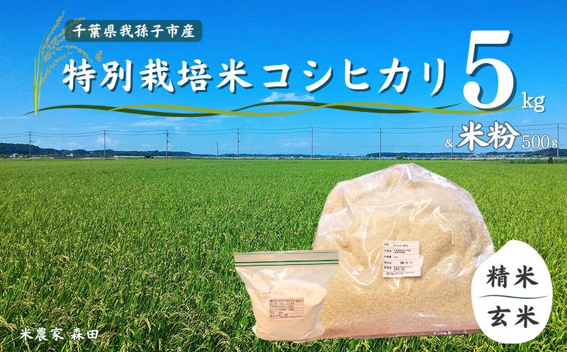 
【令和6年産 新米】冷めても美味しい! 特別栽培米 コシヒカリ 5kg & 米粉 精米/玄米
