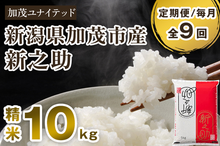 【令和7年産・令和8年産新米先行予約可】【定期便9ヶ月毎月お届け】新潟県産 新之助 精米10kg（5kg×2袋） 《令和7年産：順次出荷・令和8年産新米：2026年10月から出荷》