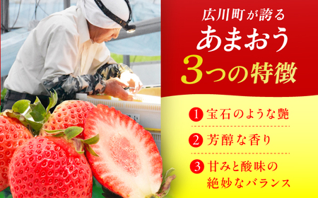 【3回定期便】博多あまおう 2ケース　広川町 / JAふくおか八女農産物直売所どろや[AFAB081]