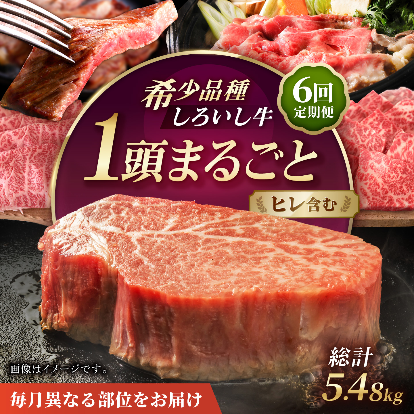 【牧場直送】【6回定期便】佐賀県産しろいし牛 1頭まるごと定期便A【有限会社佐賀セントラル牧場】 [IAH033]