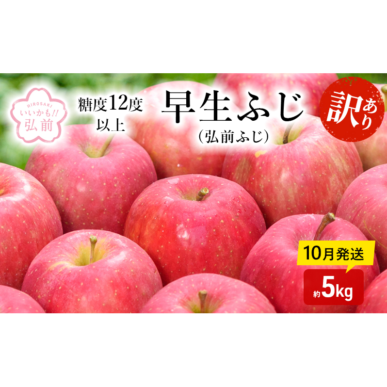 りんご 【 10月発送 】( 糖度12度以上 ) 訳あり 早生ふじ ( 弘前ふじ ) 約 5kg 【 弘前市産 青森りんご 】