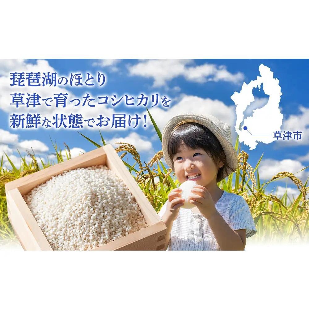 【ふるなびWEEK対象】令和7年産　近江米コシヒカリ（玄米）5kg×3　計15kg 