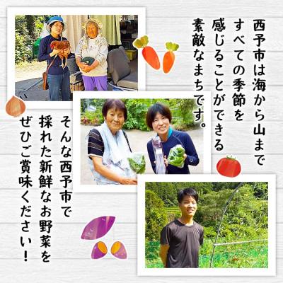ふるさと納税 西予市 <せいよのうまいもんセット:新鮮野菜の詰合せ(5〜7品目)>　旬　特産品　季節　多品目 |  | 01