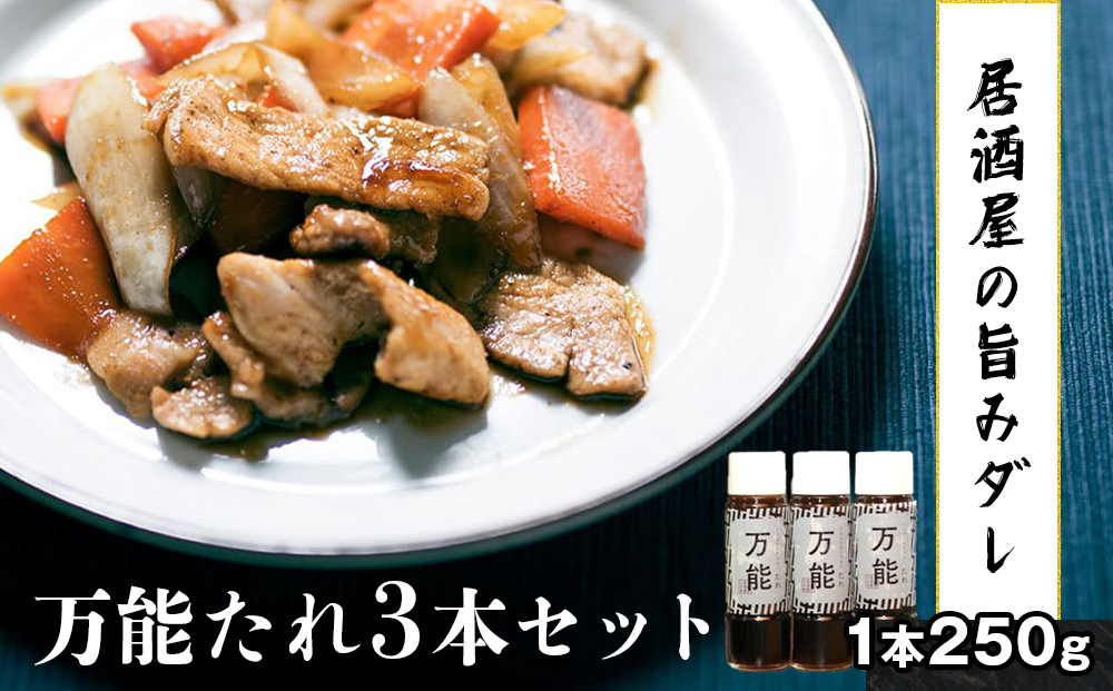 居酒屋十一の万能たれ3本セット
