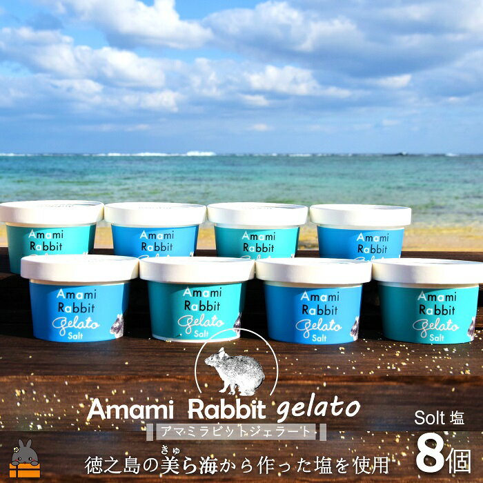 【ふるさと納税】《ふるさと納税限定》美ら海の塩使用。アマミラビットジェラート（Salt：塩）（8個）（ アイス ジェラート お菓子 スイーツ オリジナル 徳之島 奄美 鹿児島 うさぎ ウサギ 美農里館 世界自然遺産 ）