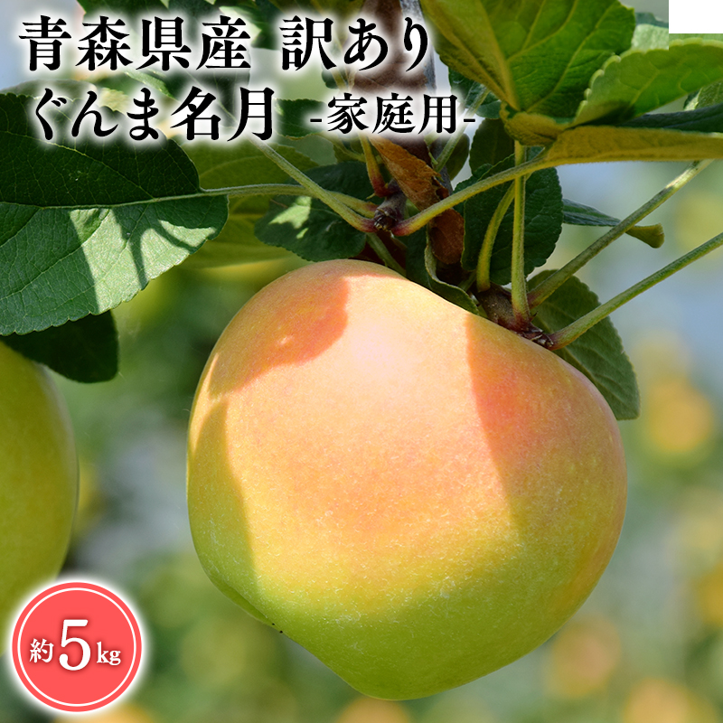 １１月発送　訳あり　家庭用　甚八りんごぐんま名月5kg　【マルジンサンアップル　11月　青森県産　平川市　りんご　ぐんま名月　5kg　訳あり　家庭用】