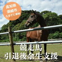 【ふるさと納税】 競走馬 支援 1億5,000万円 コース 黒潮友馬会応援 特典 ポストカード 競馬 サラブレッド 引退 高知県 須崎市