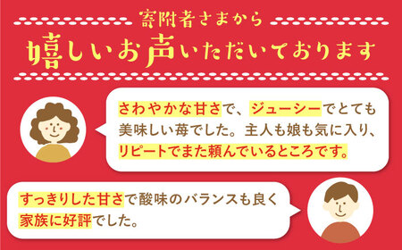 【先行予約】こだわりいちごさん 約230g×4パック（計920g以上）/新規就農 いちご 佐賀県産 イチゴ 苺 土耕栽培いちご 甘〜いいちご 大容量パックいちご イチゴ 苺 佐賀県産いちご ブランドい