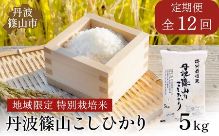 【定期便】※令和7年 新米予約※特Aランク特別栽培米　コシヒカリ　5kg（全12回） 兵庫県 丹波篠山市  白米 100％単一原料米 産地直送米 贈答 おいしい お米 精米 コシヒカリ ブランド おこめ 健康 ギフト 内祝い 贈り物 送料無料 おすすめ 人気 口コミ